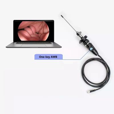Buy Electric Full HD CMOS Medical Portable USB Endoscope Camera For ENT Nasal Otoscope Ear Laparoscopic Gynecology online manufacture