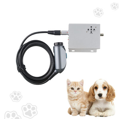 comprar Cámara de endoscopio médico portátil con precio directo de fábrica TUYOU para uso en diagnóstico veterinario de otorrinolaringología fabricación en línea