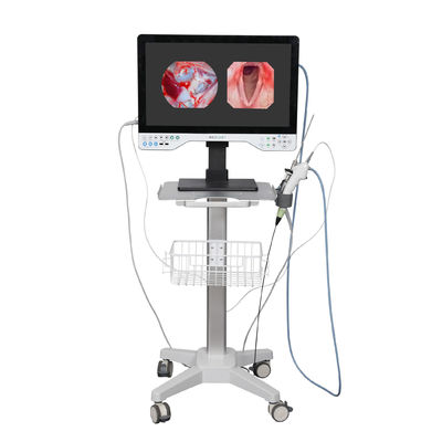 주문 FHD 모든 하나의 내시경 카메라 시스템 내장 LED 라이트 & 유연한 laparoscopy 범위 온라인 제품