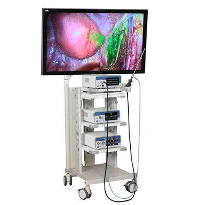 kaufen TUYOU mit USB-Videoaufzeichnung Chirurgisches ICG 4K Endoskopkamerasystem on-line-Fertigung
