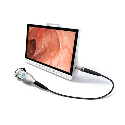 buy FHD 13.3 Inches 1080P Portable Endoscopy Camera System With Recorder For  ENT Checking online manufacture