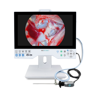 Kopen 15.6 inch All-in-one Endoscopic Camera System Ingebouwd 100W LED-lichtbron en 256GB harde schijf SONY CMOS 4K/1080P Chirurgische endoscopie beeldvorming apparatuur online vervaardiging
