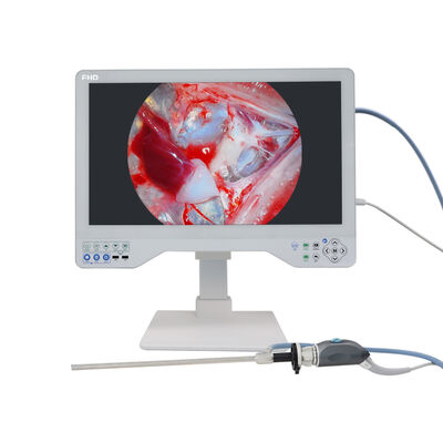 buy 24 Inch FHD 1080P All-in-One Medical Endoscopy Camera System with 256GB Storage and 100W LED Light Source online manufacture