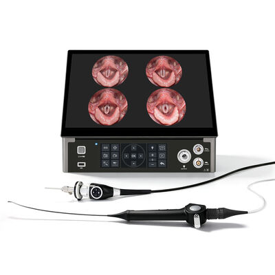 Besorgen 15,6 Zoll faltbares, starres und wiederverwendbares All-in-One-Bronchoskop-Kamerasystem on-line-Fertigung