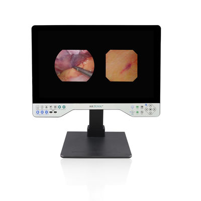1080P Full HD Endoscope System Rigid and Flexible 24 Inches All in One Video Recorder Camera