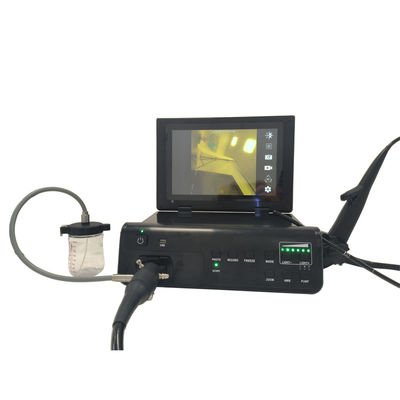 TUYOU Factory Flexible Gastroscope Colonoscope Endoscope Camera System For Pet Gastrointestinal Diagnosis
