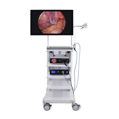 High Definition 4K Medical Endoscopy Video Camera System for Laparoscopy Tower Urology AWB Supported