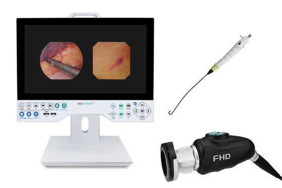 TUYOU Brain Surgery Tool All-In-One Rigid & Flexible Endoscopy Camera System For Uterine Examinations
