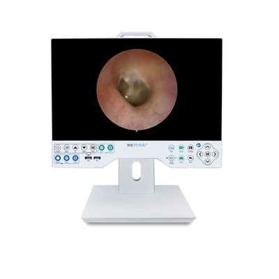Factory Design 15 Inch FHD Camera System With Record Compatible Flexible And Rigid Endoscope
