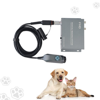 Versatile 2-Output Portable Endoscope for Real-Time Diagnostics