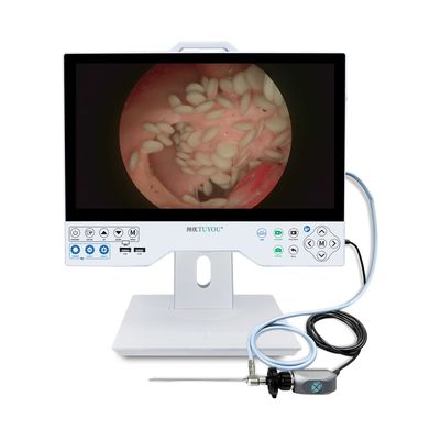 15 Inch FHD Flexible And Rigid Endoscope Camera System With Record Compatible For Surgery Using