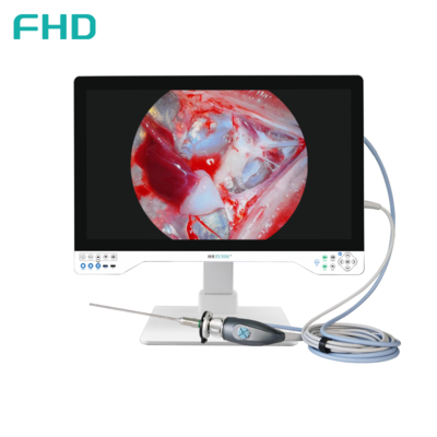 4K All In One Endoscope Camera System Built-in LED Light With 32 Inch Medical Monitor