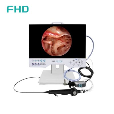 15'' All-in-One Full HD Endoscopy Camera System with Built-in LED Light Source for ENT and Urological Surgical Applications
