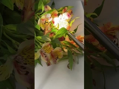 TU-D100A 4K Medical Endoscope Camera with 100W LED Light for ENT and Gynecology